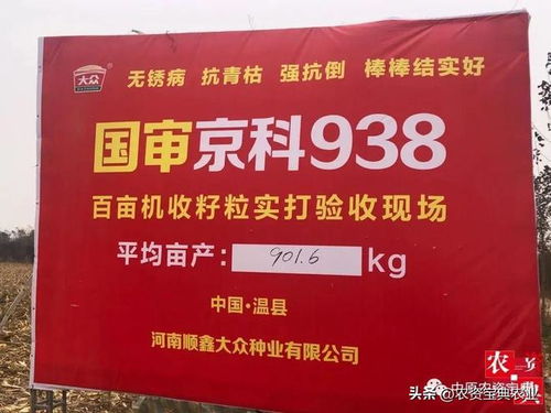 河南顺鑫大众种业2023 2024年度京科938营销峰会成功召开